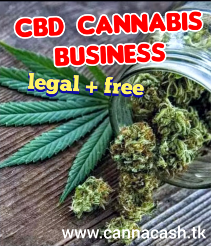 Geld verdienen mit Cannabis CBD