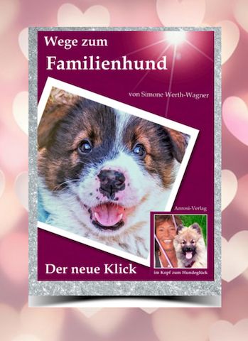 Buch Welpe, Hund, Mischling, Rasse