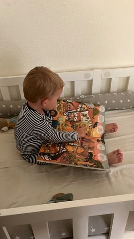 Schweizer Sennenhund Welpen