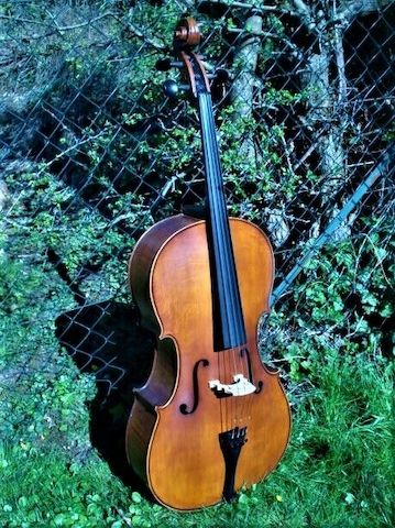 Cello n. "D. TECCHLER ROMAE 1709"