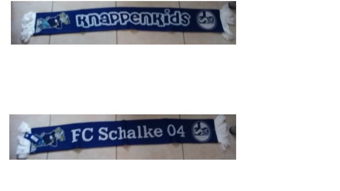 Fan-Schal vom Traditionsverein Schalke 04 „Knappenkids“
