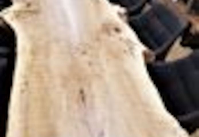 EINZIGARTIG - Esszimmertisch aus Pappelholz 160 bis 300cm