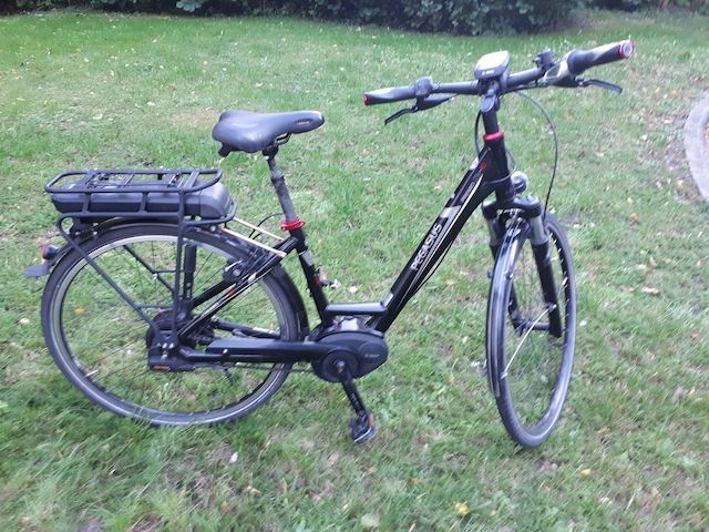 E-Bike Pegasus