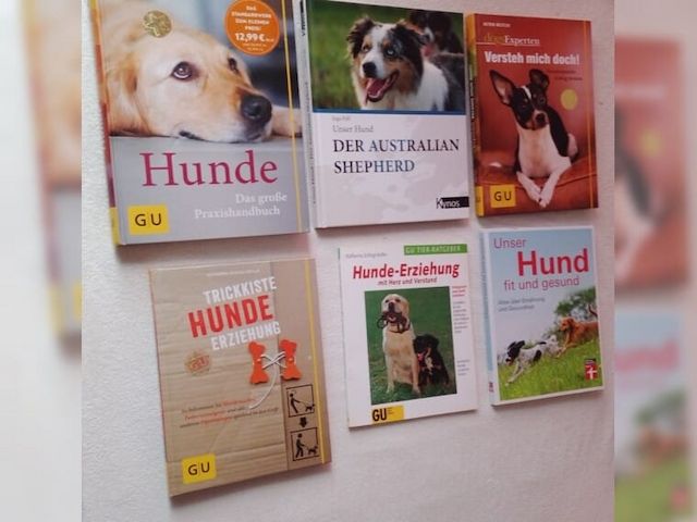 Bücher 🐕Hunde🐕