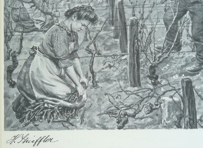 Strieffler Heinrich Rebenschneiden Grafik 42x32. B068