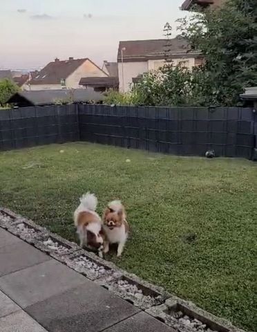 Balu&luna