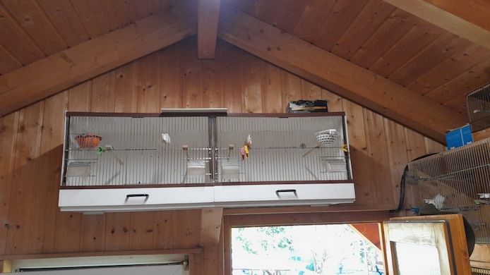 *Verschiedene Vogelvoliere*