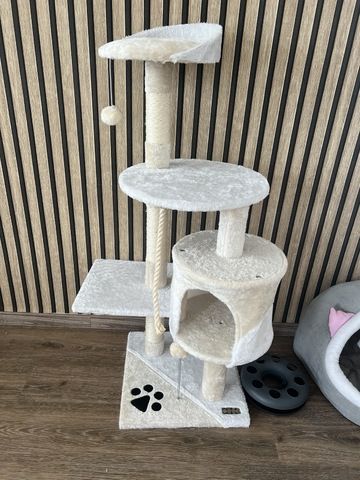 BKH Katze