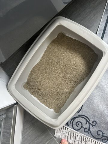 BKH Katze