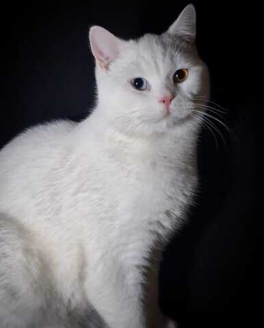 BKH Prinzessin