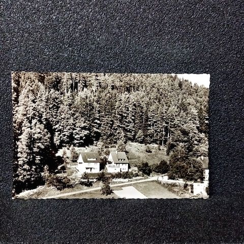 Ansichtskarte-Calmbach Haus Jauch u. Haus Rösch.