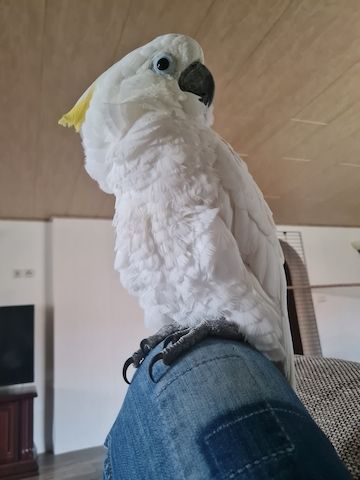 Verkauf