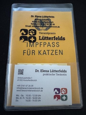 Liebe Perserkatze zu verkaufen