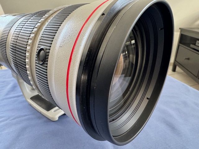 Canon EF 200-400mm F/4L IS USM Extender 1,4x Telezoom-Objektiv - Profi Lens