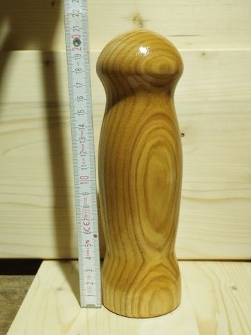 Pilz Kopf