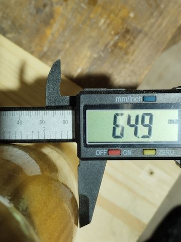 Pilz Kopf