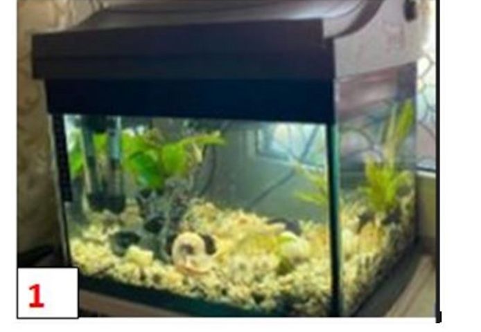 2. verschiede Aquarien Terraien  30€, 40€ VHS beide 60€