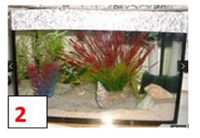 2. verschiede Aquarien Terraien  30€, 40€ VHS beide 60€