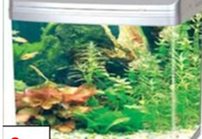 2. verschiede Aquarien Terraien  30€, 40€ VHS beide 60€