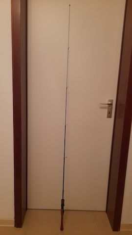 Angeln Ultra Light Angelrute Spinnrute Ultraleicht Forellenrute