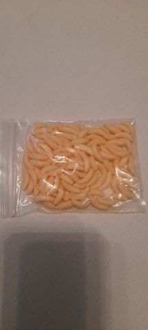 Angeln Silikon Maden Bienenmaden Forellenköder Köder
