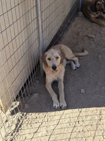 Tina