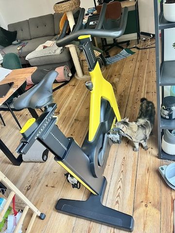 Technogym Bike Heimtrainer