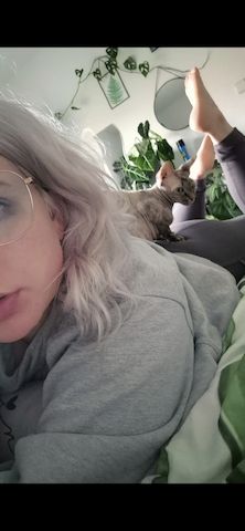 Don Sphynx Katze