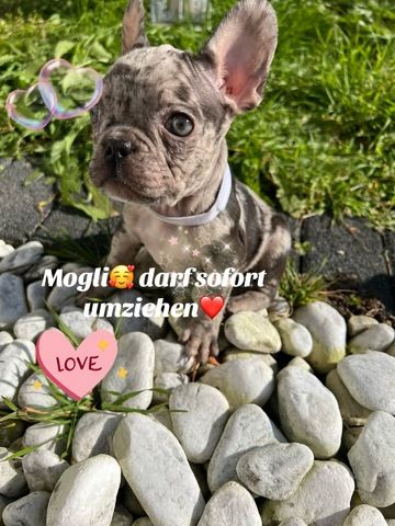 Wir suchen ein Neues Zuhause