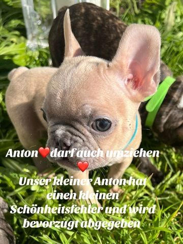 Wir suchen ein Neues Zuhause
