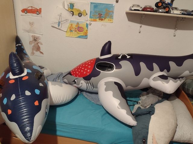 Suche Schwimmtier aufblasbar Wehncke/ Happy People Hai  verkauft mir bitte