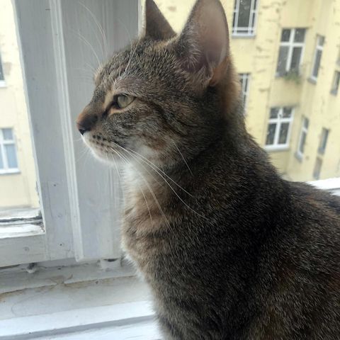 ANOUK - charakterstarke Einzelprinzessin