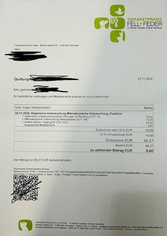 Zahmer Alexandersittich - Halsbandsittich mit Käfig und Zubehör_Weiblich