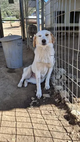 Fiona