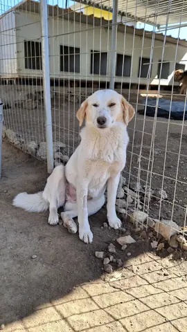 Fiona