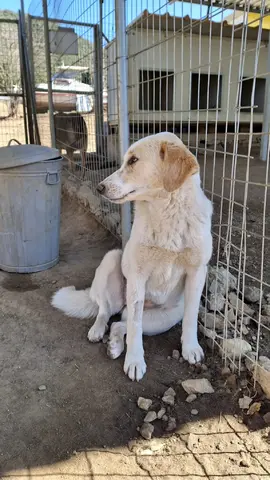 Fiona