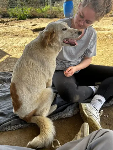 Fiona