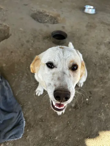 Fiona