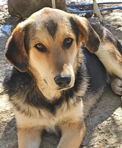 Rita