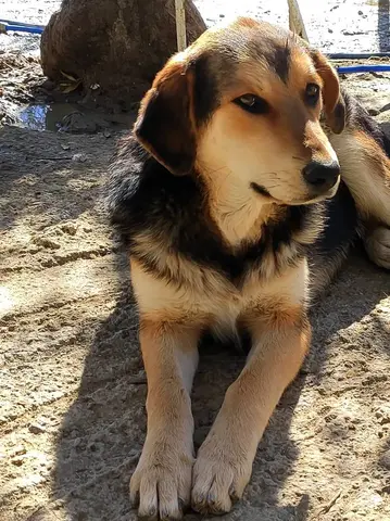 Rita