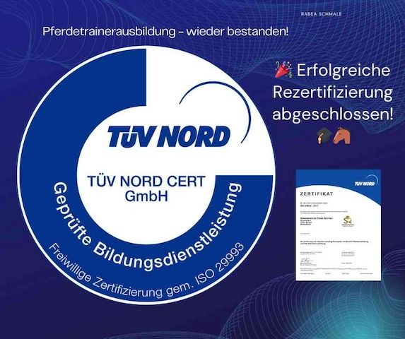 ISO-zertifizierte Pferdetrainerausbildung – Pferdetrainer werden