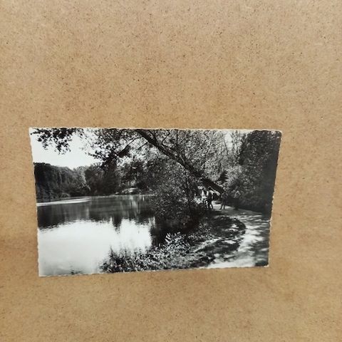 Ansichtskarte-SAINT-CUCUFA. Vue sur i Etang.