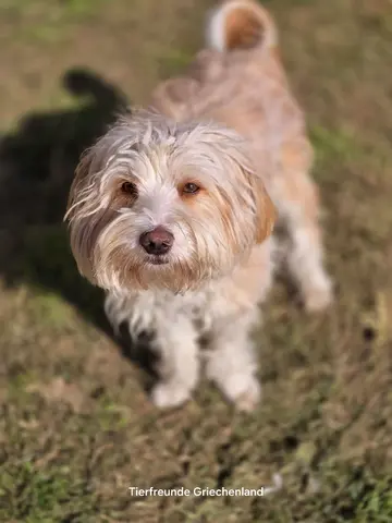 Bilbo