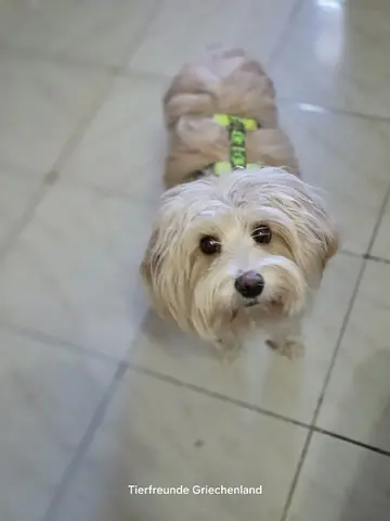 Bilbo