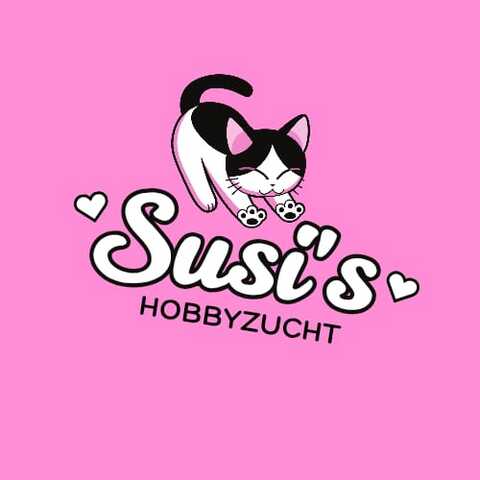 Zwei bezaubernde Norwegische Waldkatzen-Mix-Kätzchen suchen ein liebevolles Zuhause!