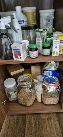 Wellensittich 6 mit Käfig und Zubehör