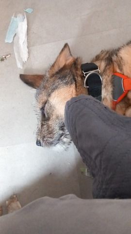 Maya sucht ihre Herzensmenschen