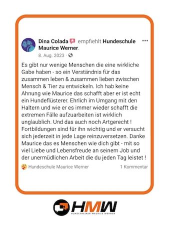 Innovatives Hundetraining durch Videoanalyse