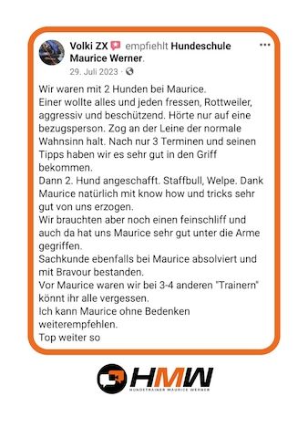 Innovatives Hundetraining durch Videoanalyse