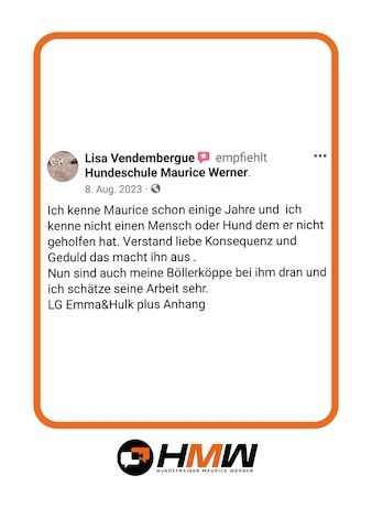 Innovatives Hundetraining durch Videoanalyse